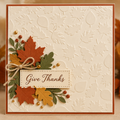 Autumn Leaves Embossing Folder 6 x 6 Inch Fall Foliage Background for Card Making
