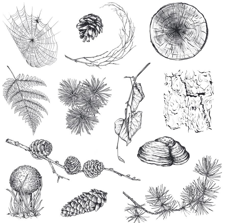 Woodland Clear Stamp Set – Forest Animals, Trees, Botanical Elements Card Making, Scrapbooking (4 Sheets)