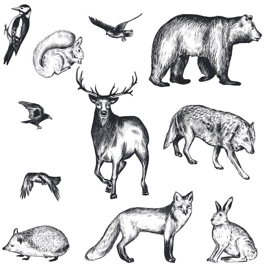 Woodland Clear Stamp Set – Forest Animals, Trees, Botanical Elements Card Making, Scrapbooking (4 Sheets)