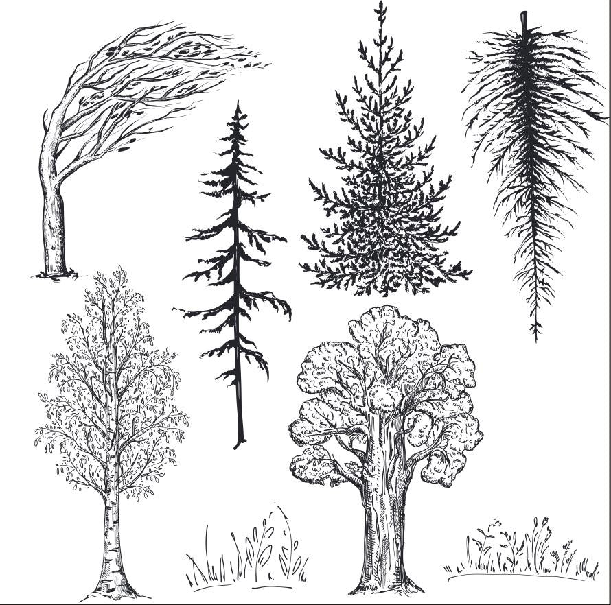 Woodland Clear Stamp Set – Forest Animals, Trees, Botanical Elements Card Making, Scrapbooking (4 Sheets)