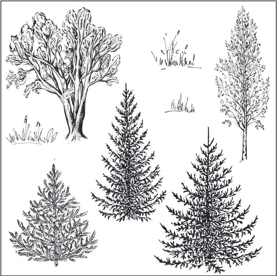 Woodland Clear Stamp Set – Forest Animals, Trees, Botanical Elements Card Making, Scrapbooking (4 Sheets)