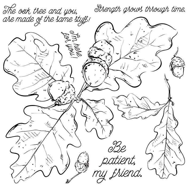 Oak Leaves Clear Stamp, Patience Quote, DIY Scrapbooking (14x14cm)