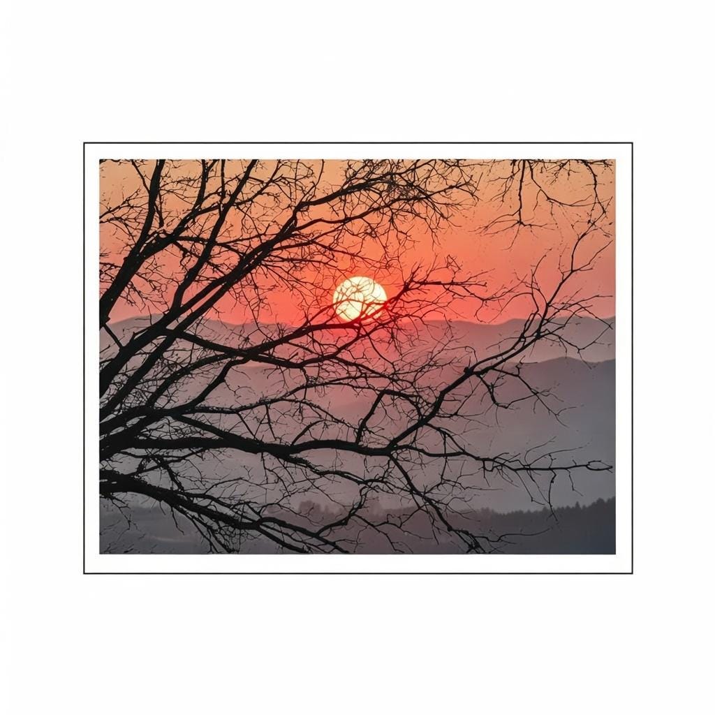 Diagonal Branch Clear Stamp | Tree Silhouette Transparent Silicone Stamp for Card Making, Scrapbooking & Journaling