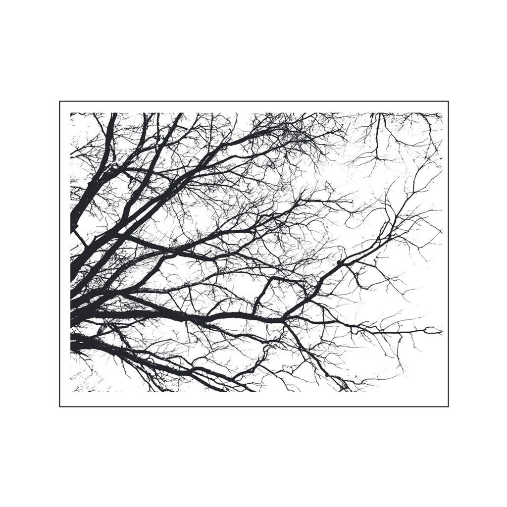 Diagonal Branch Clear Stamp | Tree Silhouette Transparent Silicone Stamp for Card Making, Scrapbooking & Journaling