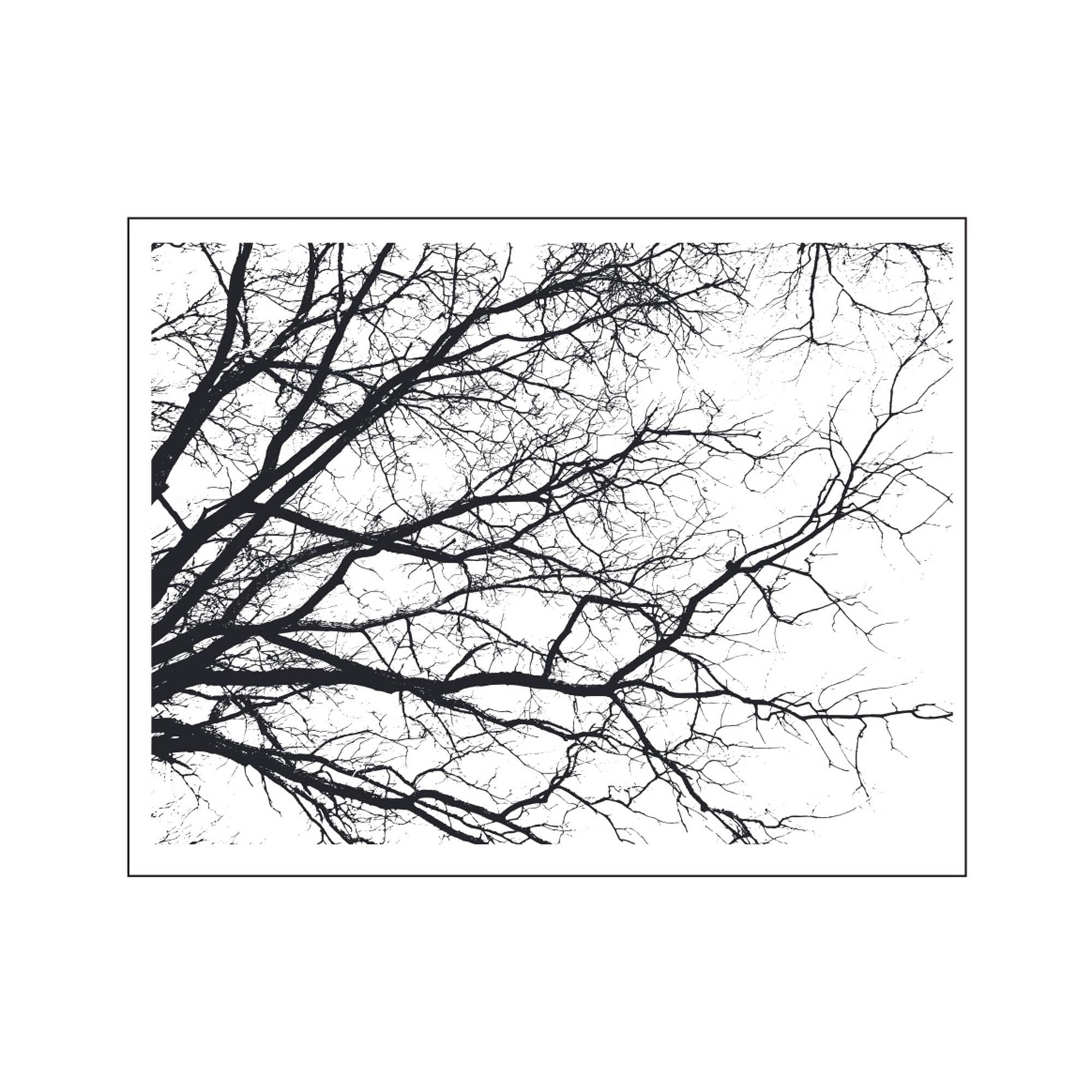 Diagonal Branch Clear Stamp | Tree Silhouette Transparent Silicone Stamp for Card Making, Scrapbooking & Journaling