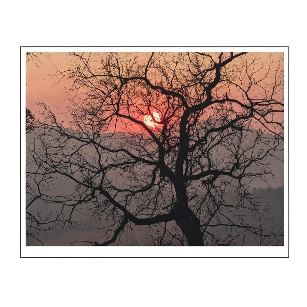 Tree Branch Clear Stamp | Silicone Stamp for Card Making & Journaling