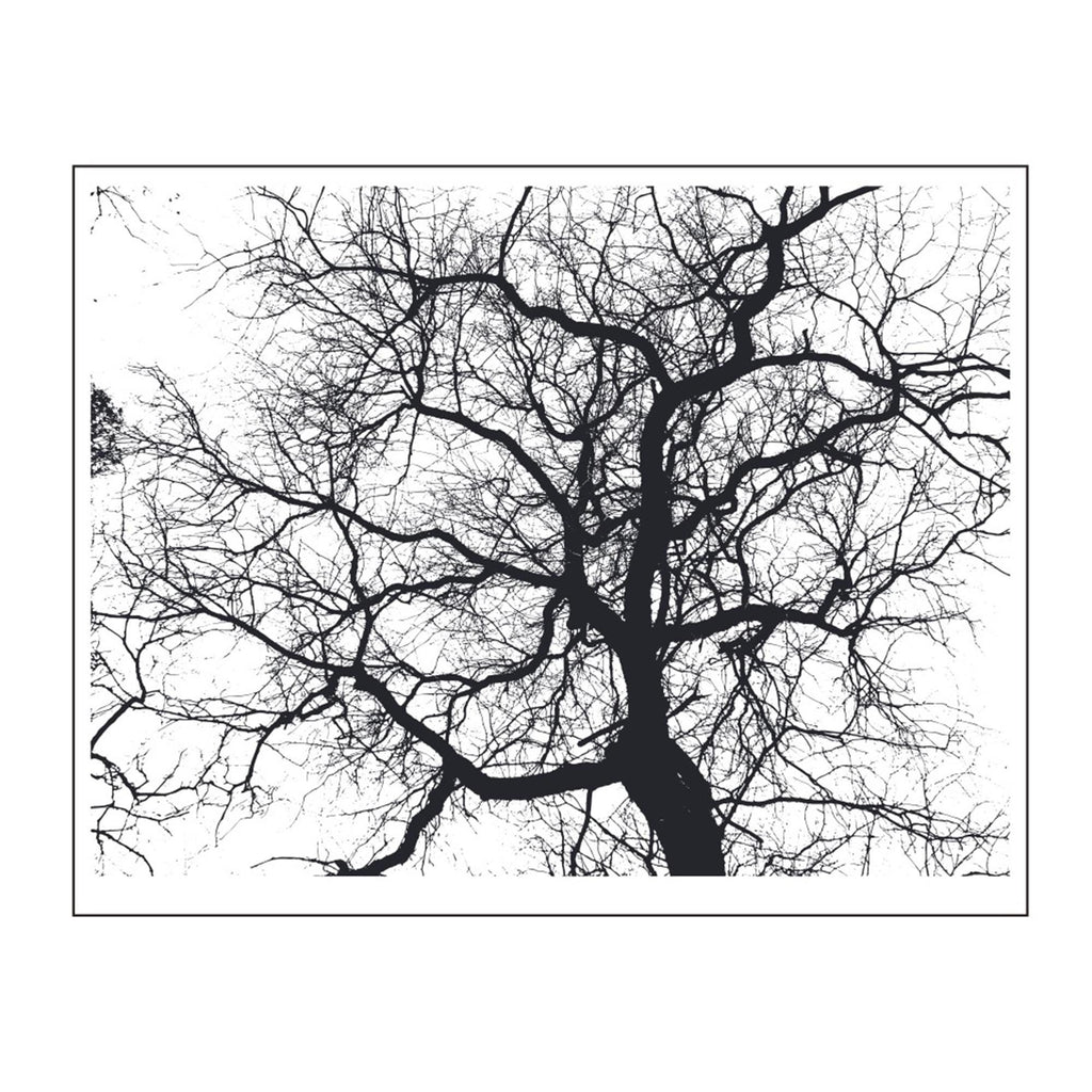 Tree Branch Clear Stamp | Silicone Stamp for Card Making & Journaling