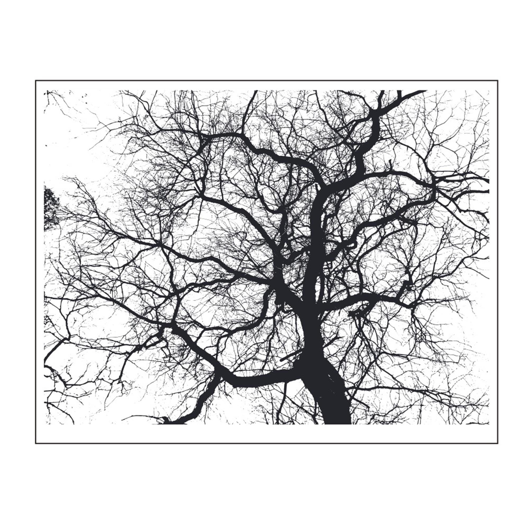 Tree Branch Clear Stamp | Silicone Stamp for Card Making & Journaling
