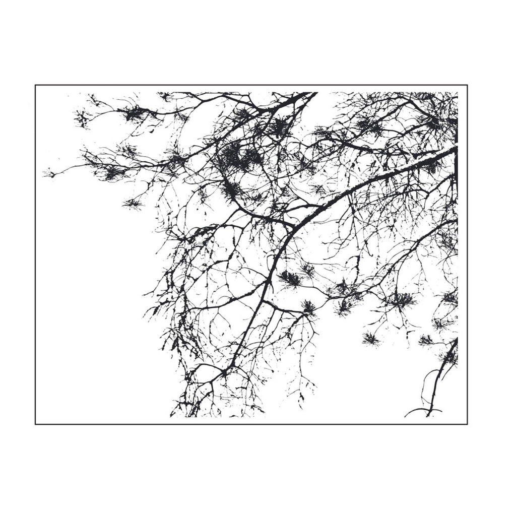 Tree and Flower Clear Stamp, 11 x 14 cm