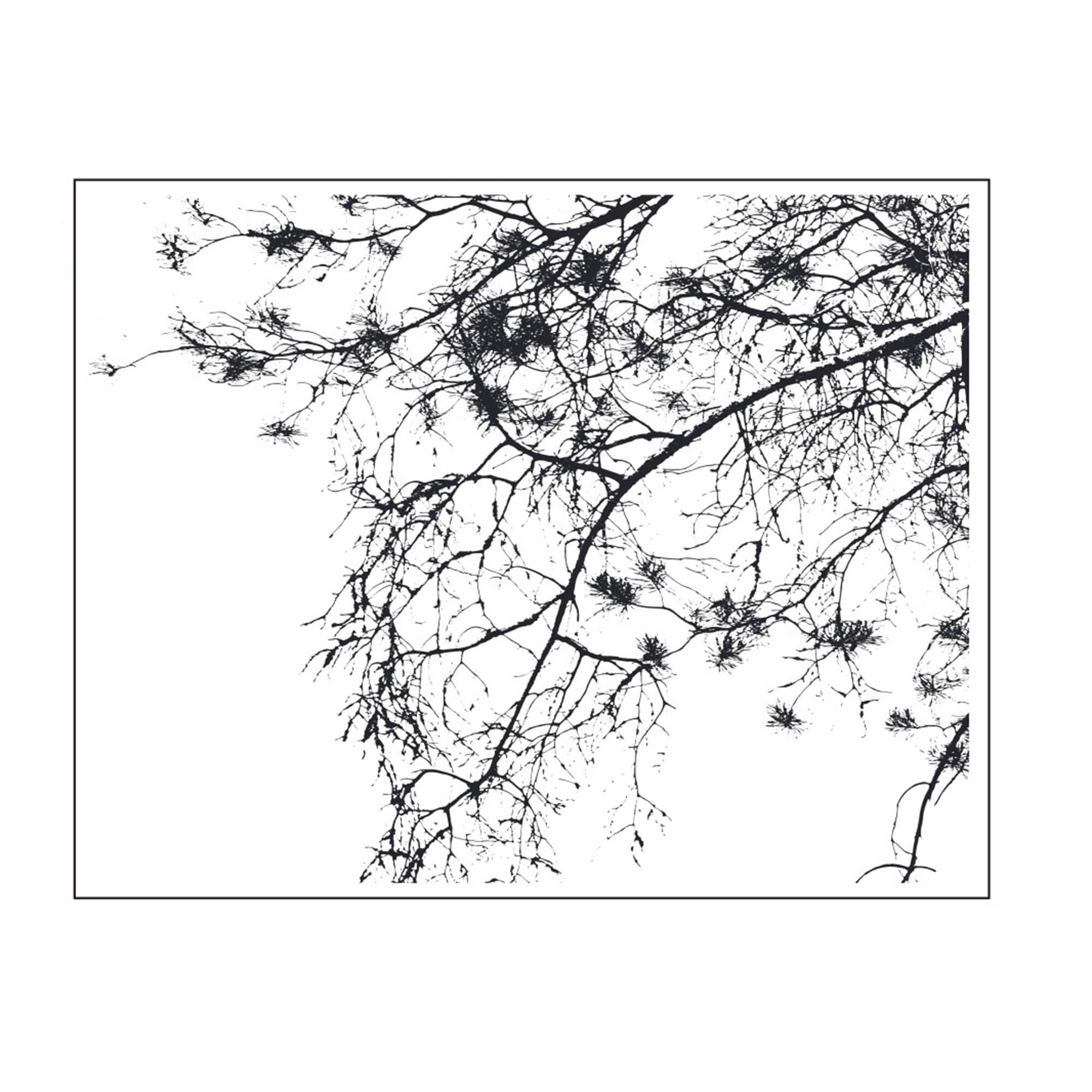 Tree and Flower Clear Stamp, 11 x 14 cm