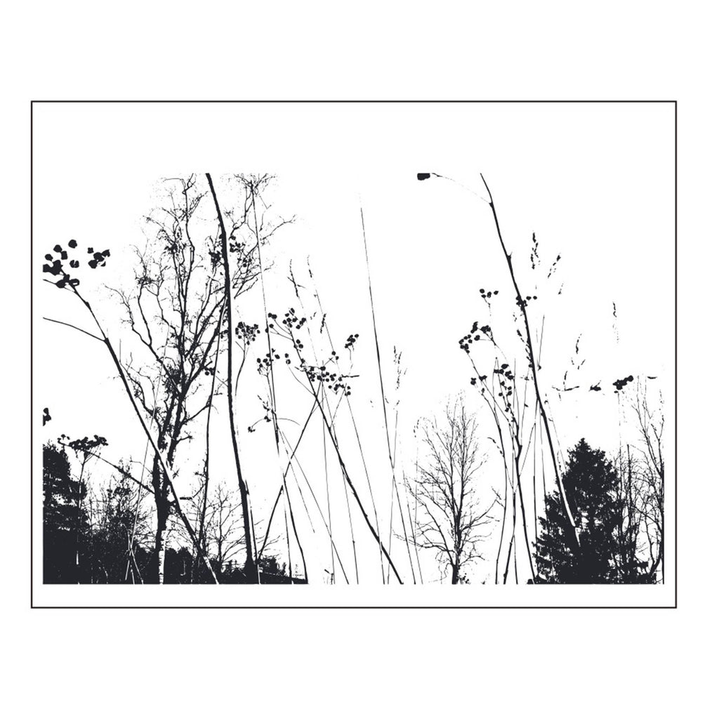 Wildflower Branch Clear Stamp | Floral Silhouette Transparent Silicone Stamp for Card Making, Scrapbooking & Journaling