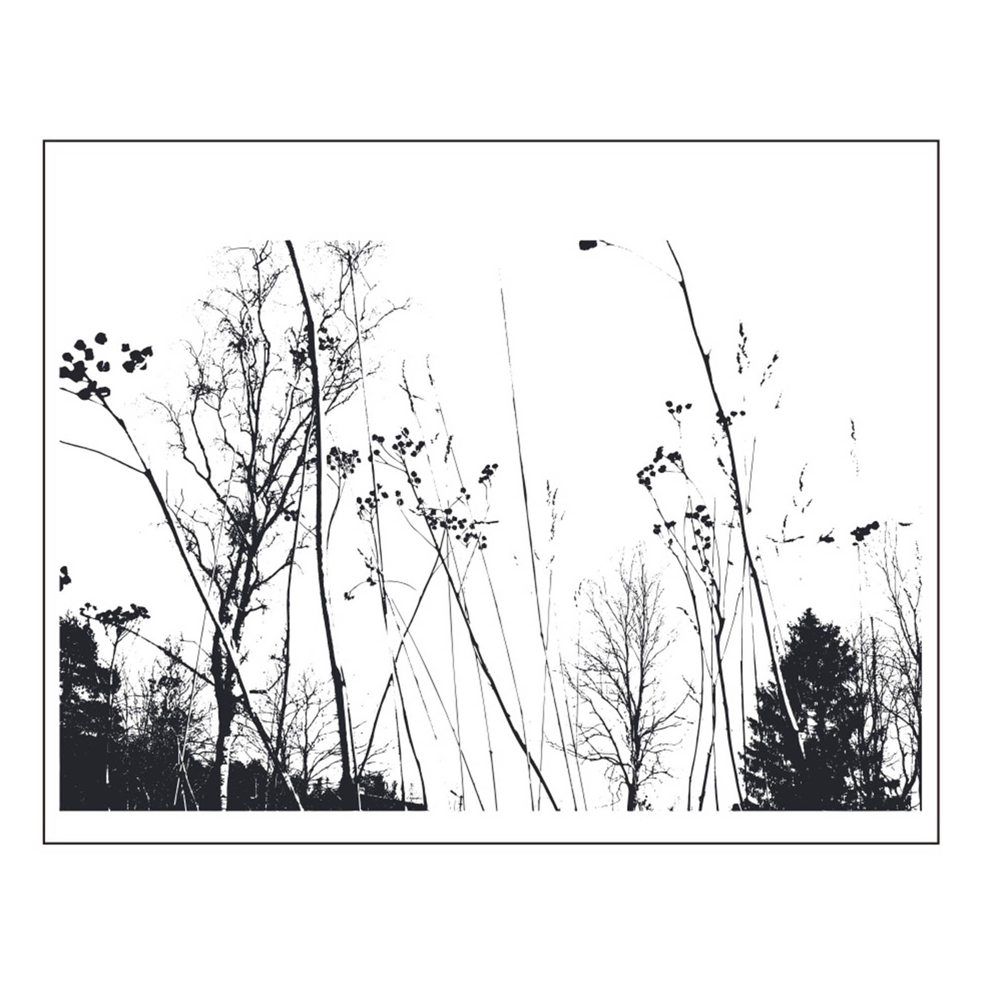 Wildflower Branch Clear Stamp | Floral Silhouette Transparent Silicone Stamp for Card Making, Scrapbooking & Journaling