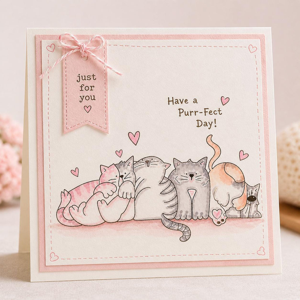 Cat Clear Stamp Set, Scrapbooking Card Making, Silicone Craft Stamps (14x14cm)