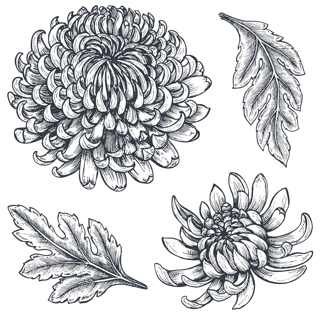 Chrysanthemum Rubber Stamp: Clear Floral Seal for Scrapbooking