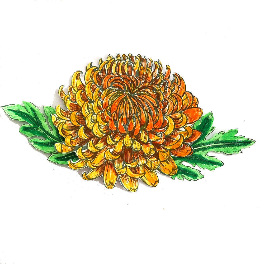 Chrysanthemum Rubber Stamp: Clear Floral Seal for Scrapbooking