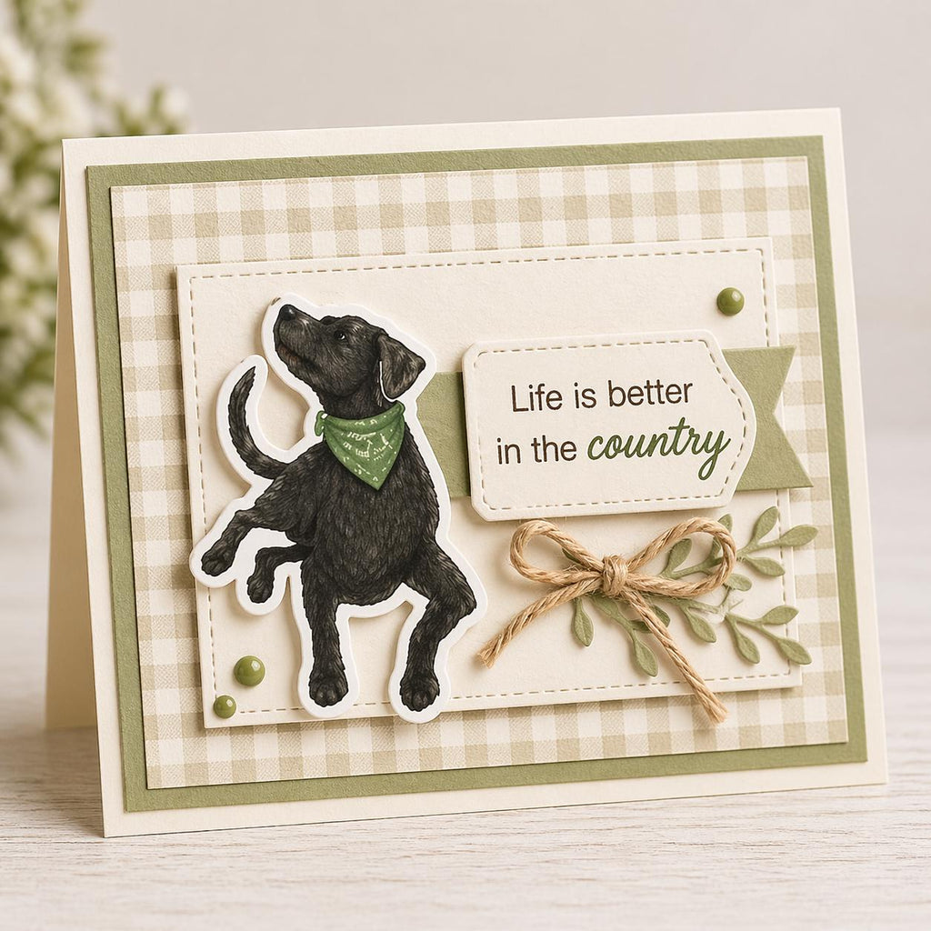 Farm Animal Clear Stamp Set | Chicken Rooster Chick Dog Country Life Stamp | Card Making
